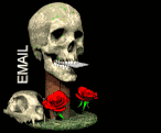An incredible animated gif of a skull flinging an envelope, with the text "EMAIL"
